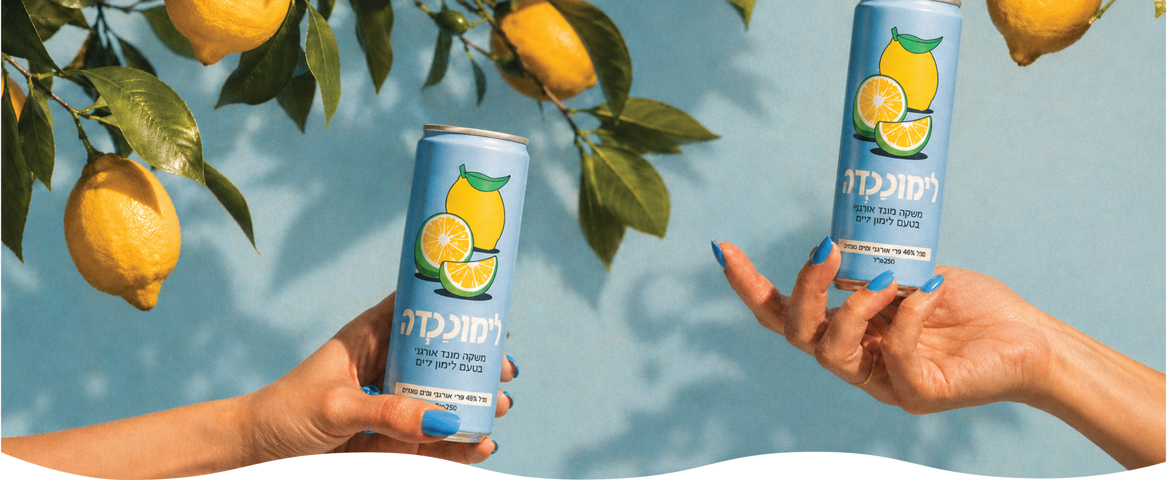 גרופר אורגני - ללא חומרים משמרים, ללא צבעי מאכל