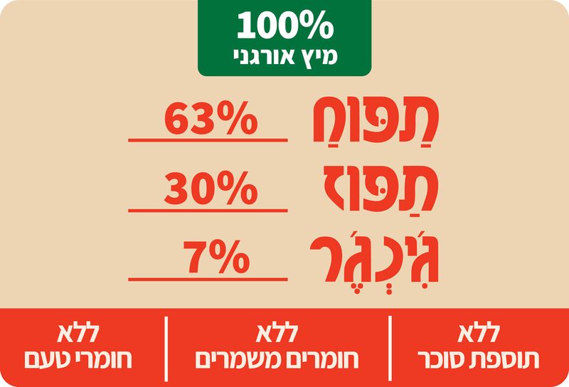 גינגר זכוכית 2