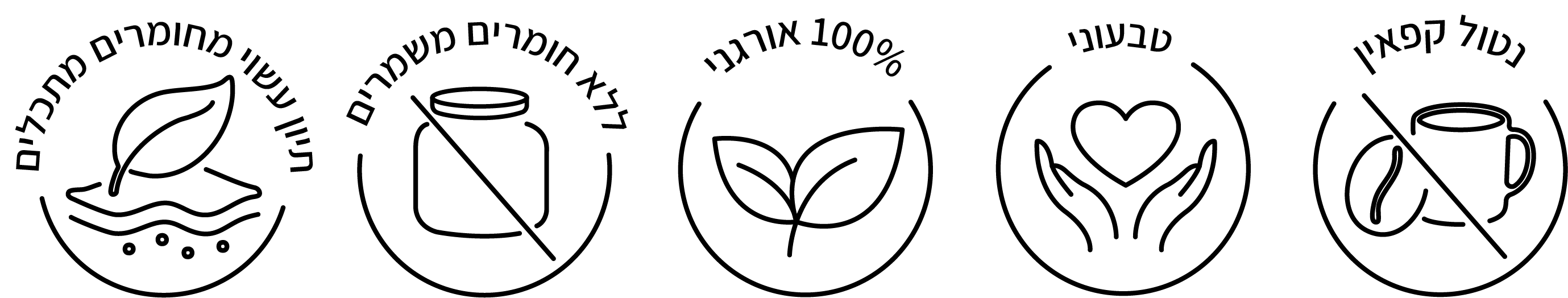 אייקוני ג'ינג'ר לימון