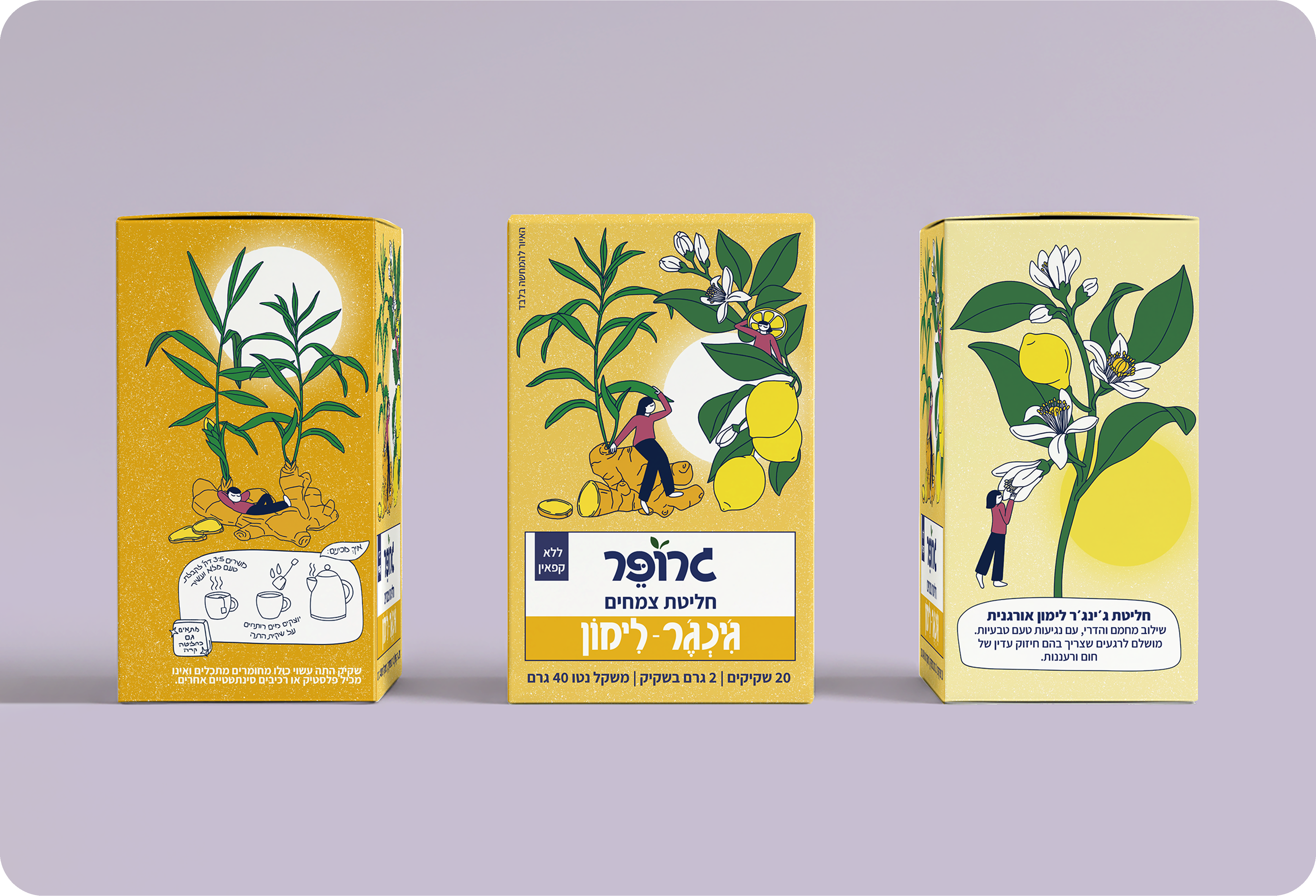 ג'ינג'ר לימון 2