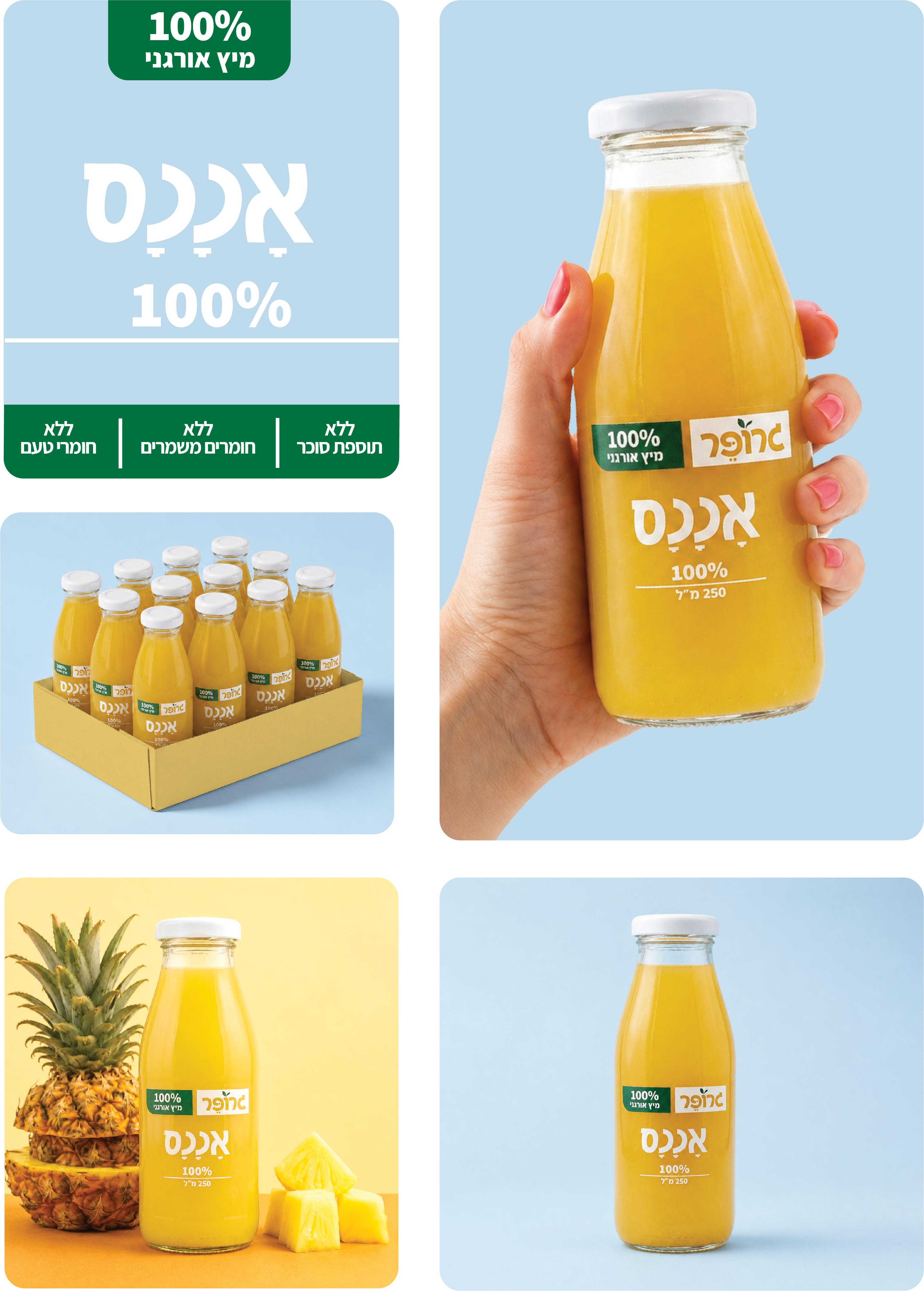 אננס אורגני 100% - מארז בקבוקי זכוכית
